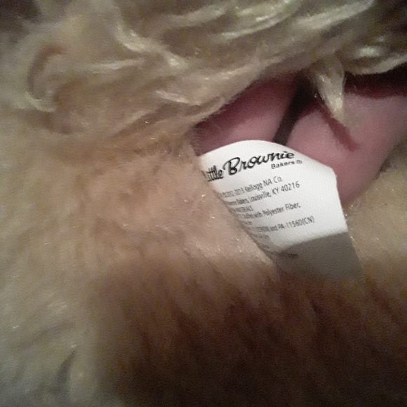 Little Brownie tan Cocker Spaniel laying down with bandana retired - Picture 2 of 4